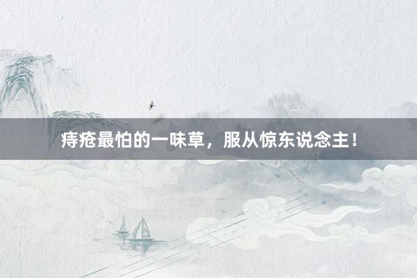 痔疮最怕的一味草,服从惊东说念主!